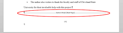 Word secara otomatis dan terurut. How Do I Number Pages Differently In The Various Sections Of My Thesis Or Dissertation Ask A Librarian