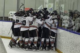 Aaa Hockey Club