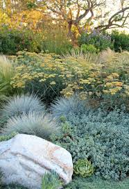 This Los Angeles Garden From Bliss Garden Design Via Houzz Combines Succulents And Ornamenta Low Water Gardening Drought Tolerant Landscape Landscape Design