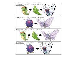 Venomoth and Butterfree | Theories | ShowMe