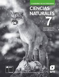 We did not find results for: Ciencias Naturales 7 Basico Cuaderno De Actividades Curriculum Nacional Mineduc Chile