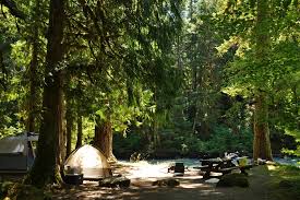 Hugh taylor birch state park. Into The Woods 9 Locations To Car Camp In Whatcom County Whatcomtalk