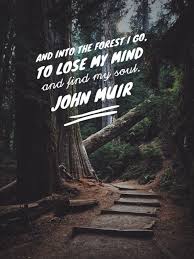 Share motivational and inspirational quotes by john muir. 10 John Muir Quotes To Inspire You To Take A Muir Woods Tour