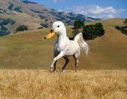 This investigation can be a real fun! 15 New Animal Species Bred In Photoshop Bored Panda