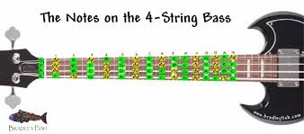 * in guitar, 'open position' generally means that the fretting hand is positioned at the headstock end of the neck, ready to play notes at the 1 st to 4 th frets. The Notes On The 4 String Bass Worksheet Bradley Fish
