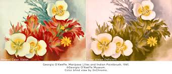 Complimentary colors colors that are opposite on the color wheel. Enchroma Glasses Enhance O Keeffe Museum Experience For Color Blind Visitors Business Wire