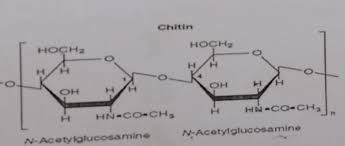Jul 27, 2018 · there's actually some chemistry involved too. What Do The Dots Mean In Hn Co Ch3 Connected To The Second Carbon Of N Acetylglucosamine And What Do The N And Acetyl Indicate Chemistry Stack Exchange