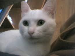 Mais uma fotinho da minha lindona!!