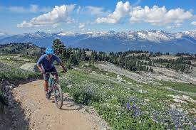To find the perfect bike amongst these top competitors is no easy chore. Best Mountain Bike Brands Of 2021 Switchback Travel