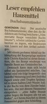 Hausmittel Gegen Buchsbaumzunsler Raupe Garten Buchsbaumzunsler Garten Bepflanzen