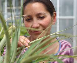 Plants for the Planet