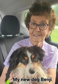 Grandma stomps is visiting #dog #goldenretriever