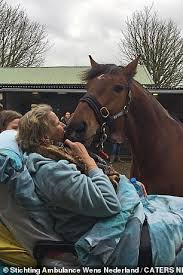 Create a free family tree for yourself or for kees veldboer and we'll search for valuable new information for you. Retired Dutch Paramedic Helps 14 000 Terminally Ill Patients Fulfil Their Dying Wishes Express Digest