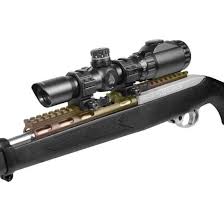 Pin On Custom Ruger 10 22 Build Dream