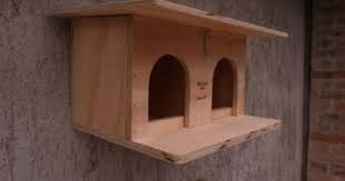 Pigeonnier Pour Pigeons Professionelle Taille M Blitzen Made In Italy 100 Amazon Fr Bricolage Pigeonnier Pigeon Maison Oiseaux