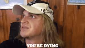 Laturtle La Turtle GIF