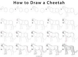 How To Draw A Cheetah Step By Step Pictures Cool2bkids Cheetah Drawing Cheetah Face Animated Drawings