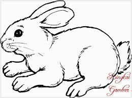 Bukan hanya menjadi peliharaan yang lucu kelinci juga biasanya dijadikan objek untuk dibuat menjadi gambar kelinci kartun seperti contoh pada kartun atau animasi yang terdapat tokoh bugs bunny atau gambar kelinci dan kura kura yang biasa digunakan untuk cerita dongeng. 920 Gambar Sketsa Hewan Kelinci Gratis Terbaik Gambar Hewan
