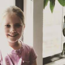 Wildflower Landscape Design