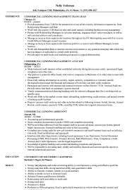 Designing and employing quantitative models to assist the fair lending team and relevant business units in examining and assessment fair lending risks in compliance with applicable laws and regulations. Commercial Lending Resume Samples Velvet Jobs