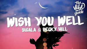 I wish i was you or i wish i were you. Sigala Wish You Well Lyrics Ft Becky Hill Youtube