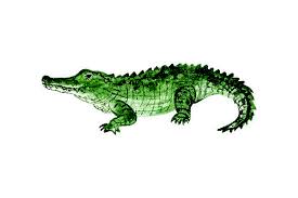 Choose from over a million free vectors, clipart graphics, vector art images, design templates, and illustrations created by artists worldwide! Alligator Watercolor Svg Cut File By Creative Fabrica Crafts Creative Fabrica