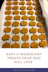 Pin On Fun And Healthy Dog Treats