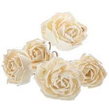 Natural Sola Thai Rose Stems Dried Flowers Rose Stem Thai Rose