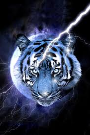 Blue Tiger Tiger Wallpaper Big Cats Art Pet Tiger