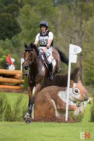 Check spelling or type a new query. Tom Mcewen And Toledo De Kerser Gbr3 Eventing Nation Three Day Eventing News Results Videos And Commentary
