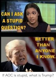 Maybe you would like to learn more about one of these? Can I Ask A Stupid Question Better Than Anyone I Know If Aoc Is Stupid What Is Trump Trump Meme On Me Me