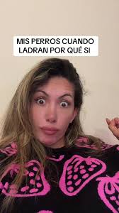 Bucefalo Alejandro ojeda (@bucefaloalejandro)