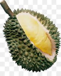Utilisez ces png gratuits et gratuits pour vos projets ou projets personnels. Sirsak Jus Durian Gambar Png
