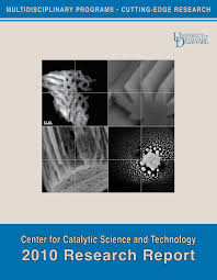 2010 research report