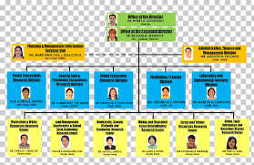 Organizational Structure Dhl Express Organizational Chart