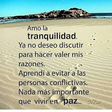 657 Likes 9 Comments Mirneliz Oviol Mirnelizoviol On Instagram Amo Vivir En Paz Sin Per Citas De Inspiracion Espanol Frases Motivadoras Frases Bonitas