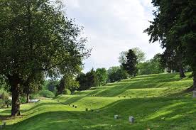 Terraced Earthworks Like This For Orchard Garden Food Forest Roof Landscape Diy Landscaping Landscape