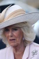 5 things to know about the Thai King's disgraced ex-princess and third  wife, Srirasmi Suwadee