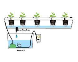 Parameter ini adalah sebagai berikut: Hidroponik Nusantara 2 Sistem Irigasi Fertigasi Drip System Atau Sistem Irigasi Atau Fertigasi Juga Termasuk Salah Satu Cara Bercocok Tanam Hidroponik Yang Paling Sering Dipakai Oleh Para Petani Dunia Sistem Irigasi