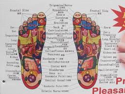 Organ Foot Diagram Chart Foot Reflexology High Resolution