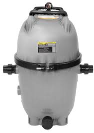 This type of filter will only. Cv Cartridge Filter Jandy