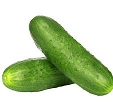 Image result for Cucumis engleri