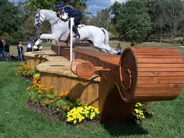 Violin Table Jump Horse Jumping Eventing Cross Country Eventing Horses