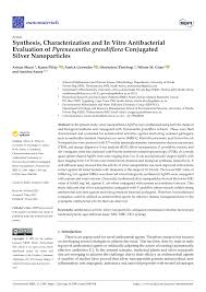 Image result for Pyrenacantha grandiflora