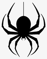 If you like, you can download pictures in icon format or directly in png image format. Hanging Spider Png Transparent Image Give It A Butt Rope Png Image Transparent Png Free Download On Seekpng