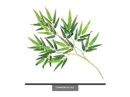 Maybe you would like to learn more about one of these? Bamboo Foliage Fake Oriental Bamboo Leaves Commercial Silk