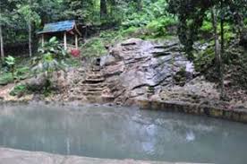 Dalam sesi ini, jabatan perhutanan negeri pahang telah berkongsi pengalaman pengurusan dan perancangan ter mossy forest kepada pihak kementerian. Hutan Lipur Bukit Mertajam Jabatan Perhutanan Semenanjung Malaysia
