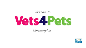 They are efficient, prompt, caring and empathetic. Vets In Northampton Open 24 7 Vets4pets