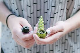 We did not find results for: Comment Fumer Du Cannabis De La Meilleure Facon