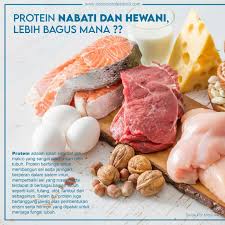 Inilah 5 macam menu makanan sumber protein nabati yang bisa menjadi pilihan pola makan sehat. Cek Protein Hewani Dan Protein Nabati Mana Yang Lebih Baik Podomoro Poultry Equipment